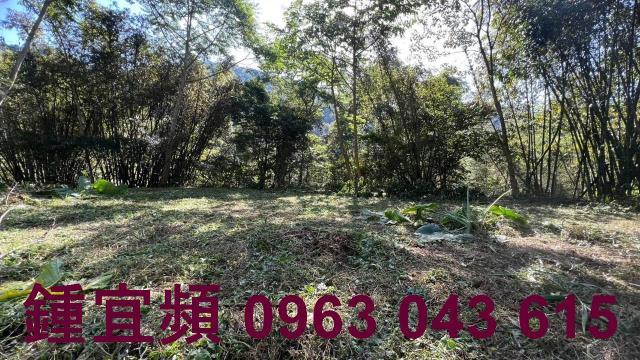 新竹農地_建地_山坡地-12