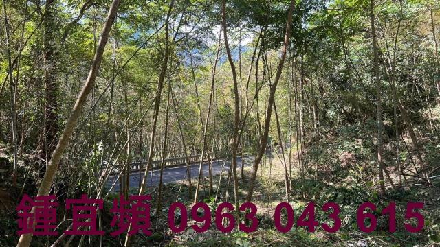 新竹農地_建地_山坡地-6