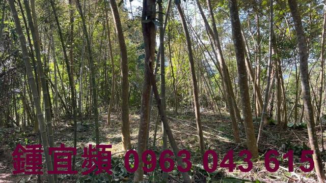 新竹農地_建地_山坡地-7