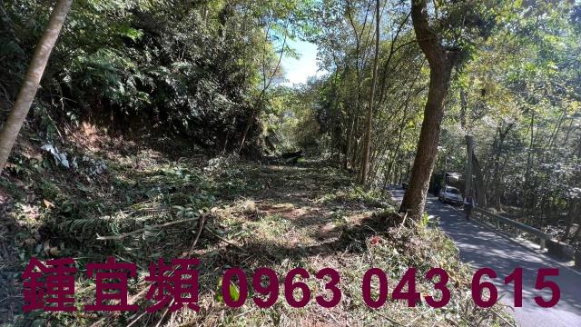 新竹農地_建地_山坡地-8