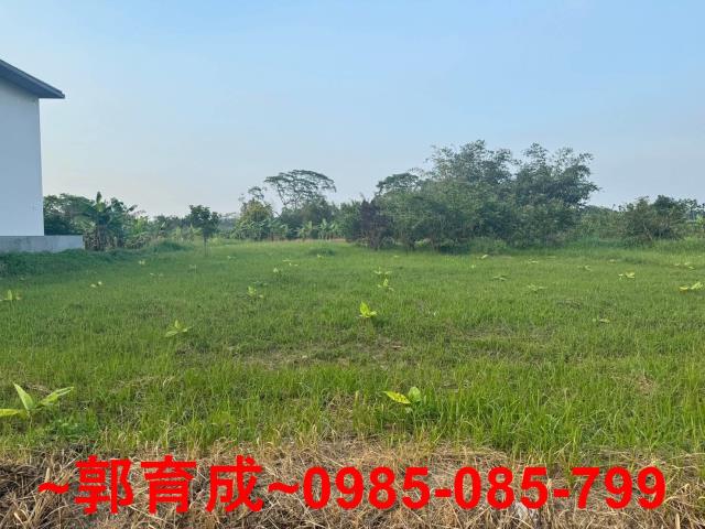 嘉義中埔農地-6