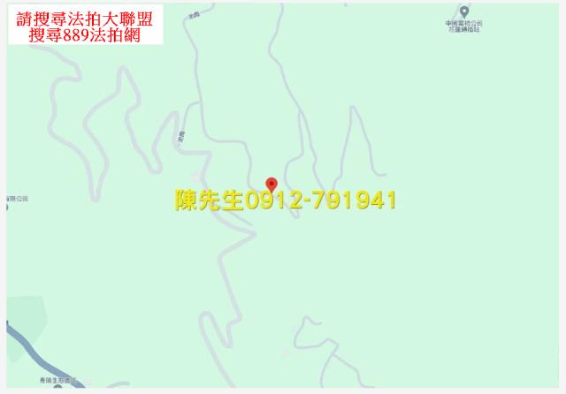 壽豐農地_山坡地法拍-14