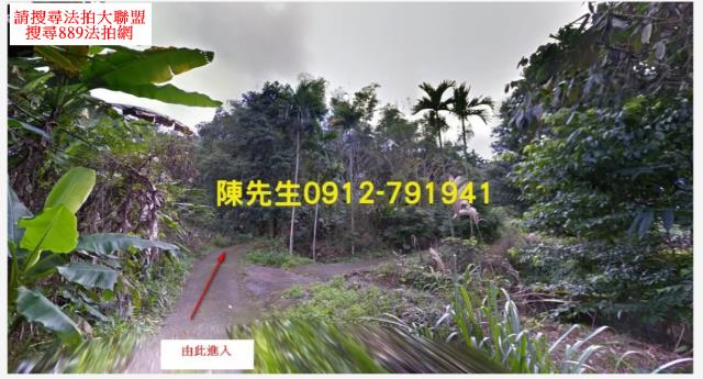 壽豐農地_山坡地法拍-2