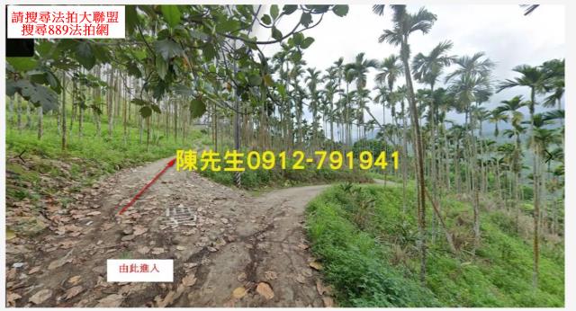 壽豐農地_山坡地法拍-3