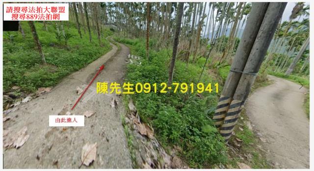 壽豐農地_山坡地法拍-9
