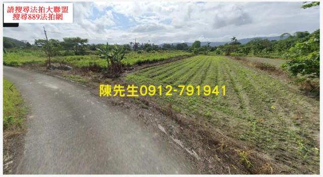 壽豐拍賣農地-11