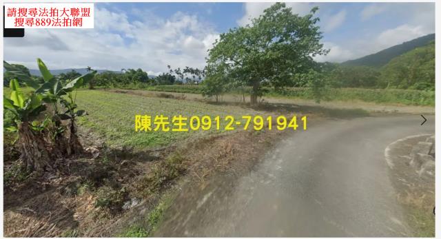 壽豐拍賣農地-2