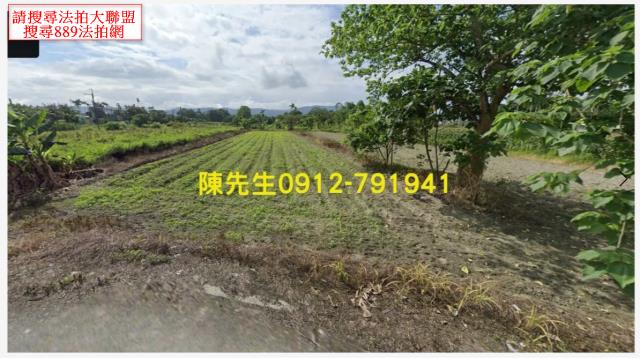 壽豐拍賣農地-8