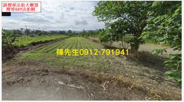 壽豐拍賣農地-9