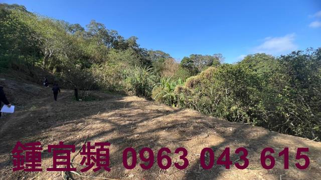新竹農地_山坡地_休閒地-4