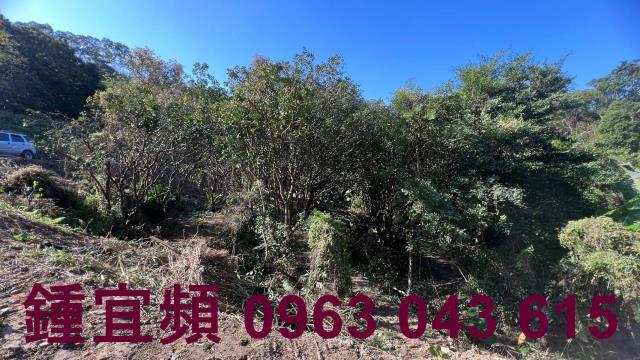 新竹農地_山坡地_休閒地-6