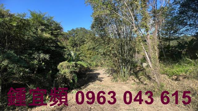 新竹農地_山坡地_休閒地-7