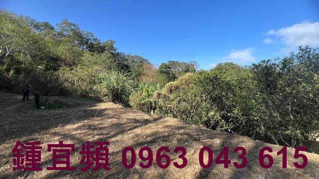 新竹農地_山坡地_休閒地-9