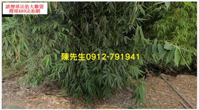 新化農地法拍-8