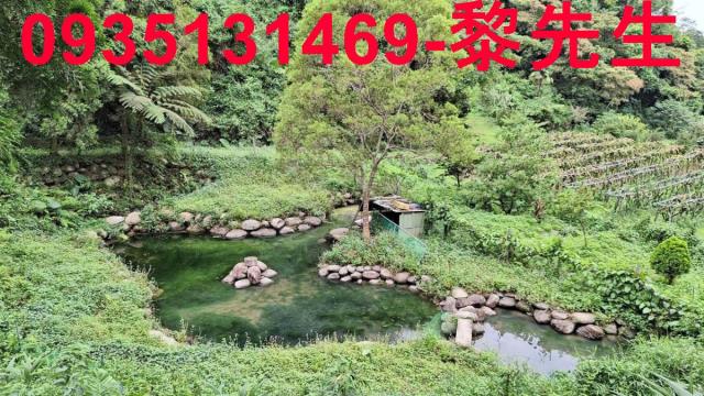 苗栗農地-1