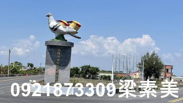 學甲農地_建地-7