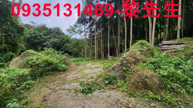 新竹農地_交通用地-11