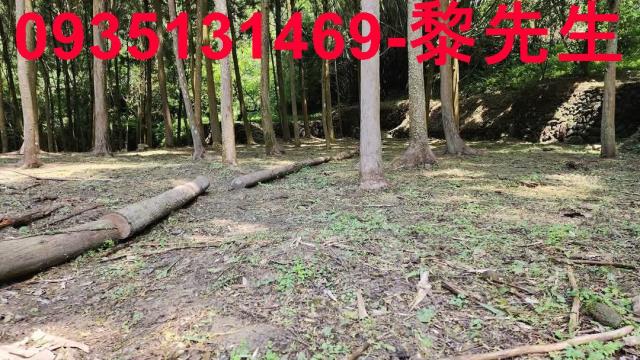 新竹農地_交通用地-4