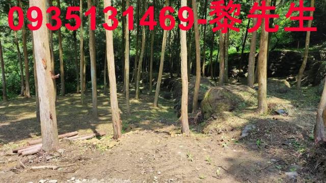 新竹農地_交通用地-6