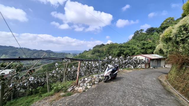 台中農地_山坡地_休閒地-13