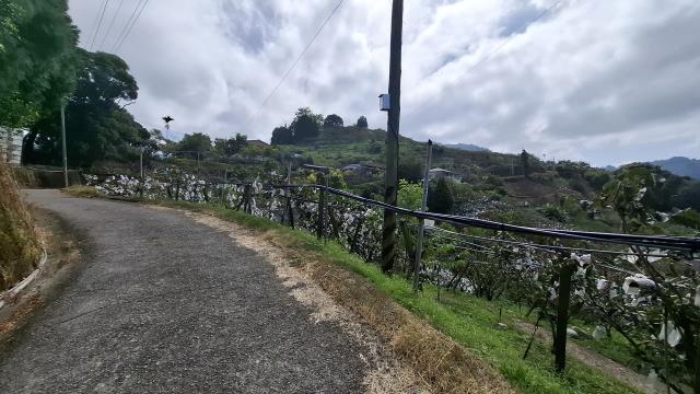 台中農地_山坡地_休閒地-14