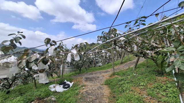 台中農地_山坡地_休閒地-4