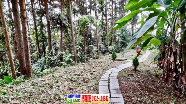 新竹北埔林地-14