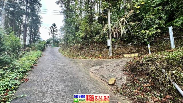 新竹北埔林地-15