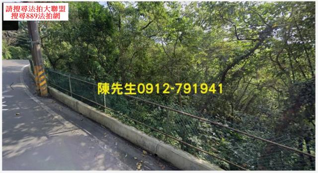 大溪法拍農地_山坡地-2