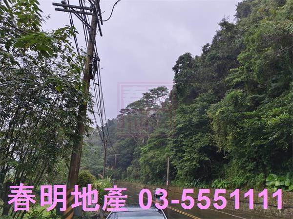 北埔農地_林地-10