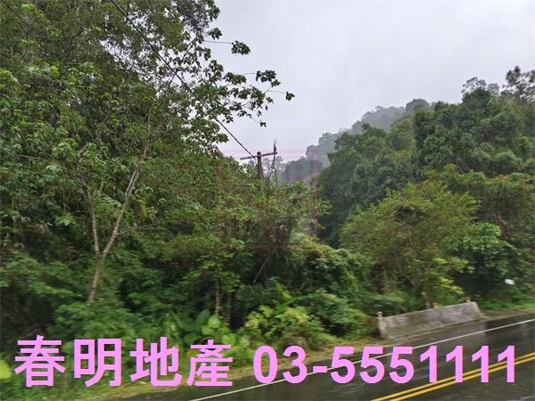 北埔農地_林地-12