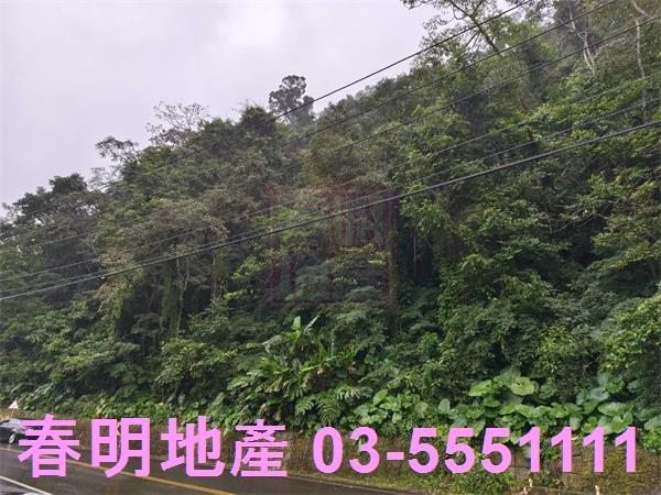 北埔農地_林地-1