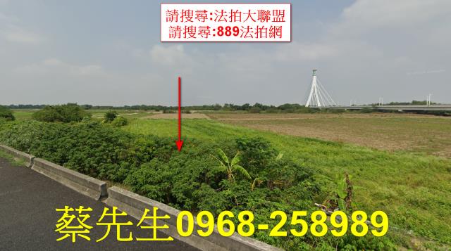 朴子法拍農地-9