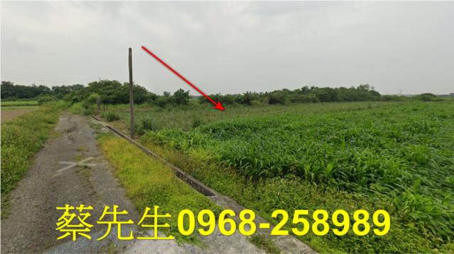 嘉義法拍農地-11