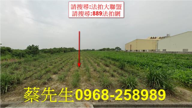 嘉義法拍農地-9