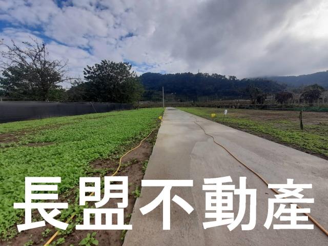 台中農地-5