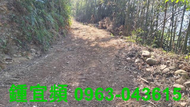 新竹山坡地_林地-1