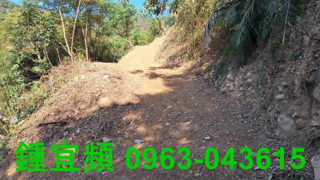 新竹山坡地_林地-3