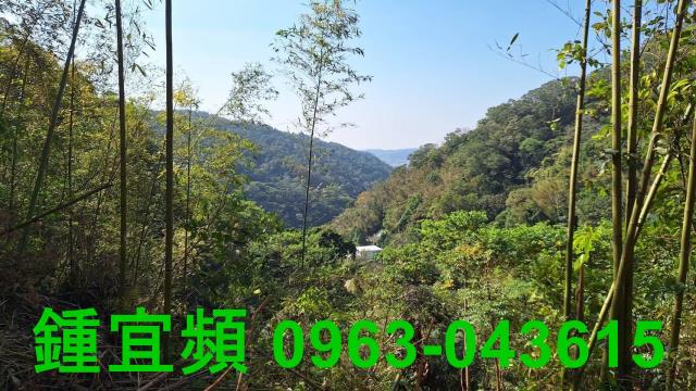 新竹山坡地_林地-6