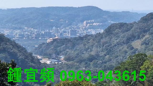 新竹山坡地_林地-7