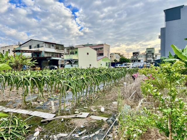 南投名間農地_建地-2
