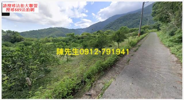 海端山坡地法拍-10