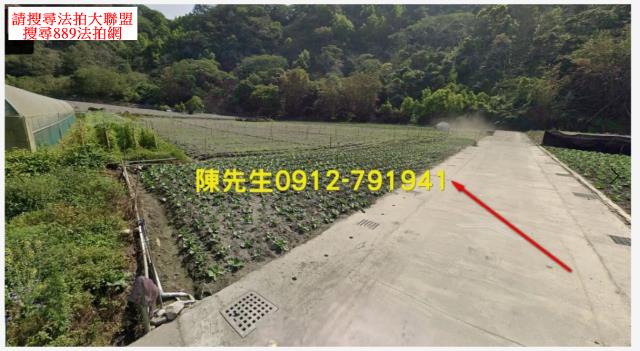 海端法拍農地_原住民保留地-11