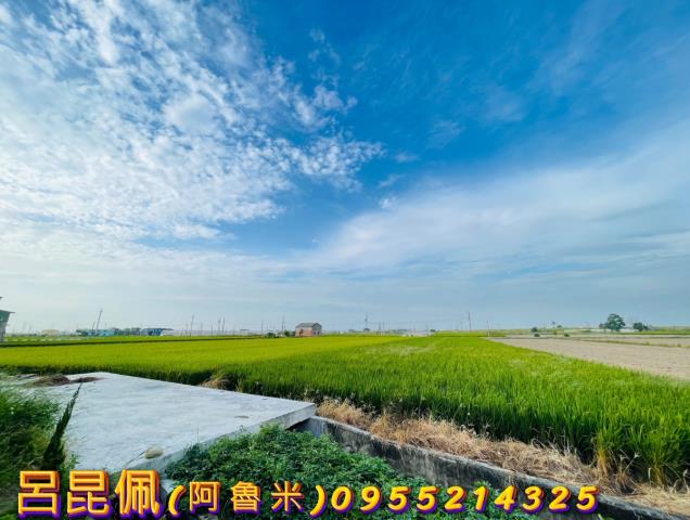 溪口農地_建地-3