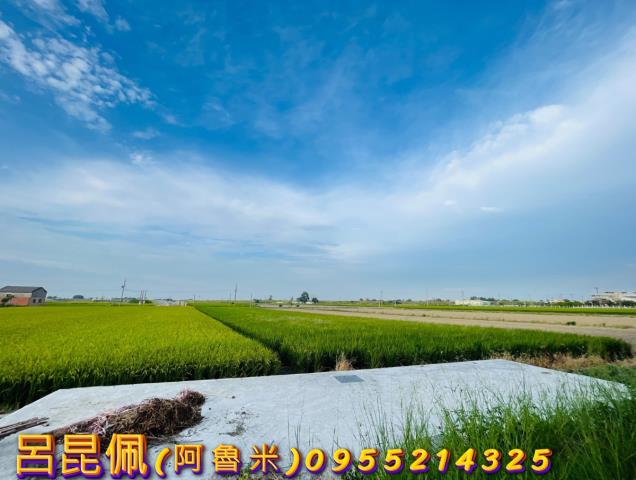 溪口農地_建地-8