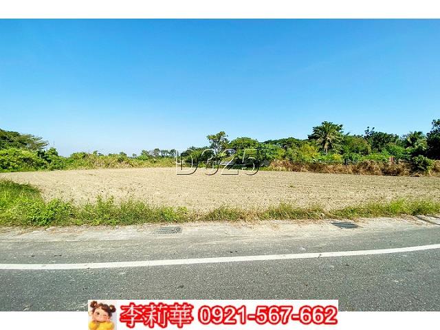 台南農地-5