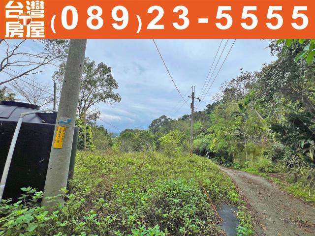 台東台東市農地-2