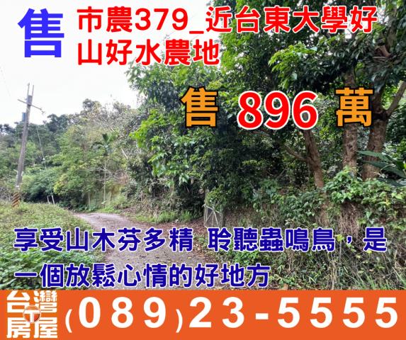 台東台東市農地-0