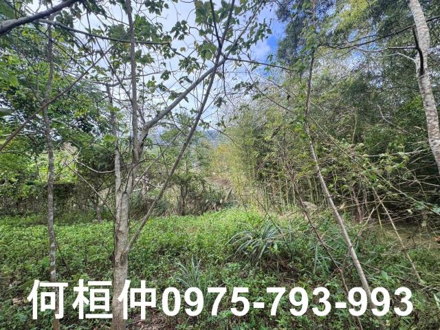 苗栗大湖山坡地_休閒地-11