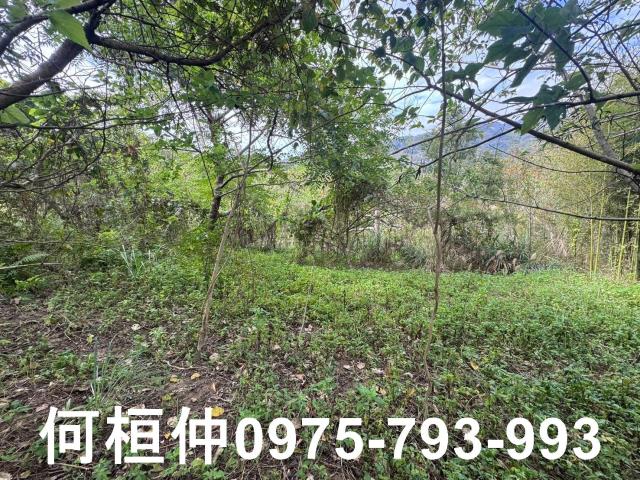 苗栗大湖山坡地_休閒地-12